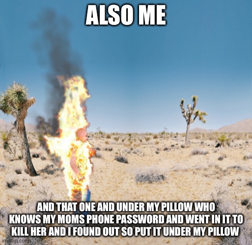 Dry Heat | ALSO ME AND THAT ONE AND UNDER MY PILLOW WHO KNOWS MY MOMS PHONE PASSWORD AND WENT IN IT TO KILL HER AND I FOUND OUT SO PUT IT UNDER MY PILL | image tagged in dry heat | made w/ Imgflip meme maker