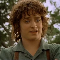 frodo weird Blank Meme Template