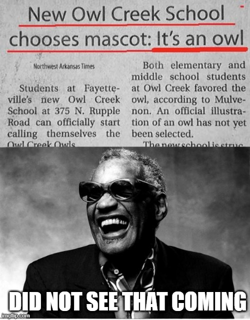 Nice Choice | DID NOT SEE THAT COMING | image tagged in ray charles | made w/ Imgflip meme maker