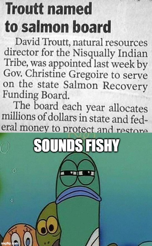 Fish Board | SOUNDS FISHY | image tagged in spongebob | made w/ Imgflip meme maker