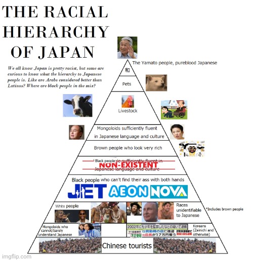 The Racial Hierarchy in Japan Blank Meme Template