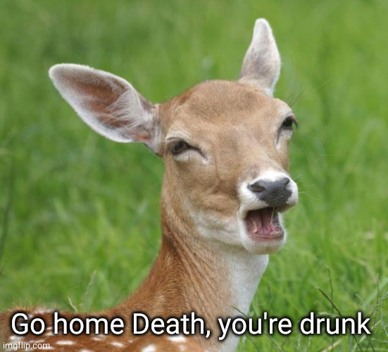 Go Home Bambi, You're Drunk | Go home Death, you're drunk | image tagged in go home bambi you're drunk | made w/ Imgflip meme maker