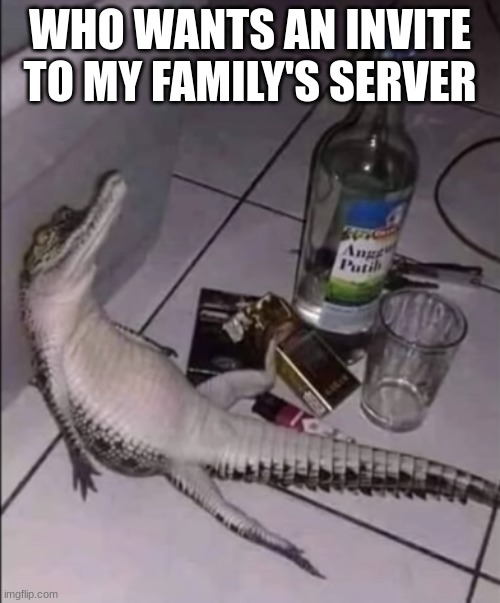 drunk crocodile | WHO WANTS AN INVITE TO MY FAMILY'S SERVER | image tagged in drunk crocodile | made w/ Imgflip meme maker
