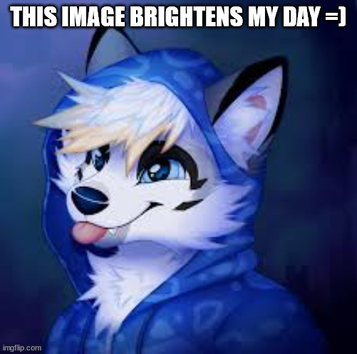 Furry Blep! | THIS IMAGE BRIGHTENS MY DAY =) | image tagged in furry blep | made w/ Imgflip meme maker