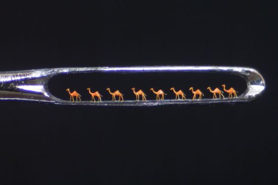 camels in the eye of a needle Blank Meme Template