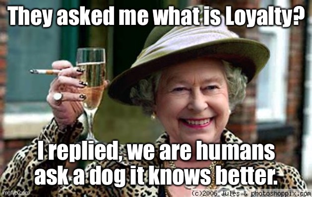 What is loyalty | They asked me what is Loyalty? I replied, we are humans ask a dog it knows better. | image tagged in queen elizabeth,what is loyalty,we are humans,ask a dog,fun | made w/ Imgflip meme maker