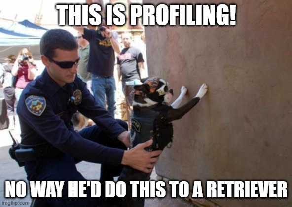 THIS IS PROFILING! NO WAY HE'D DO THIS TO A RETRIEVER | image tagged in police,bikers,boston terrier | made w/ Imgflip meme maker