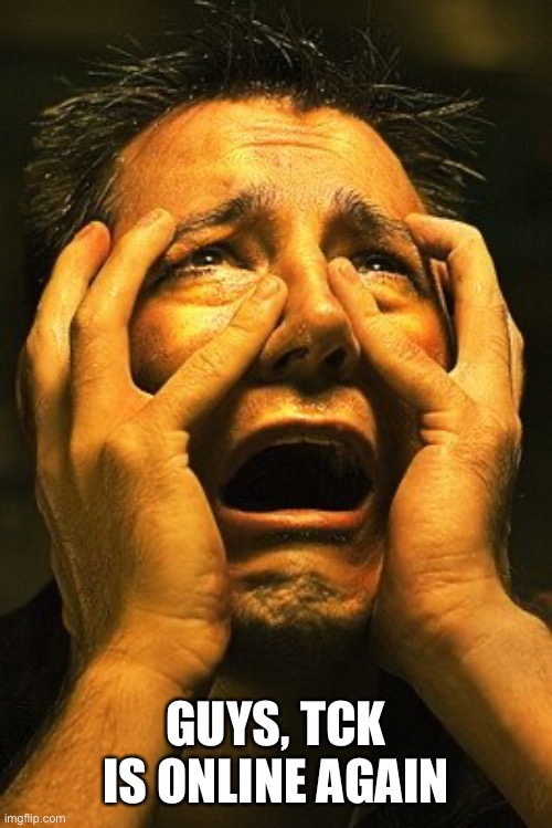 Terrified hopeless | GUYS, TCK IS ONLINE AGAIN | image tagged in terrified hopeless | made w/ Imgflip meme maker