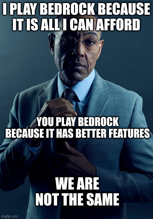Minecraft | I PLAY BEDROCK BECAUSE IT IS ALL I CAN AFFORD; YOU PLAY BEDROCK BECAUSE IT HAS BETTER FEATURES; WE ARE NOT THE SAME | image tagged in gus fring we are not the same | made w/ Imgflip meme maker