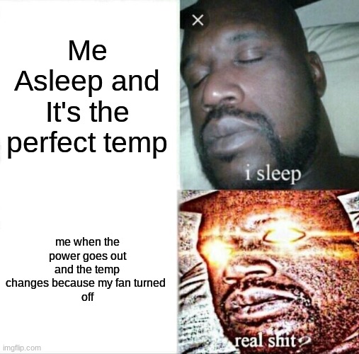Sleeping Shaq Meme | Me Asleep and It's the perfect temp; me when the power goes out and the temp changes because my fan turned 
off | image tagged in memes,sleeping shaq | made w/ Imgflip meme maker