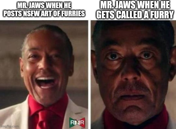 True story | MR. JAWS WHEN HE GETS CALLED A FURRY; MR. JAWS WHEN HE POSTS NSFW ART OF FURRIES | image tagged in gus fring | made w/ Imgflip meme maker