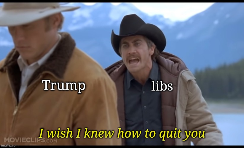 Codependency at it's finest. | Trump; libs; I wish I knew how to quit you | made w/ Imgflip meme maker