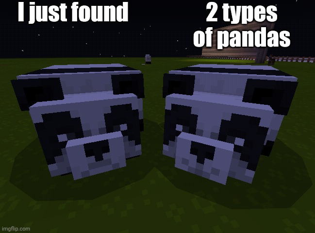 I just found 2 types of pandas | made w/ Imgflip meme maker