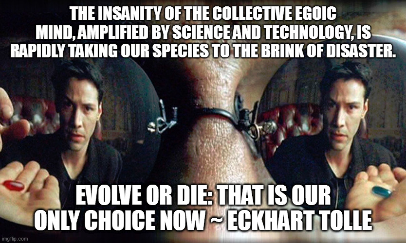 Collective Insanity | THE INSANITY OF THE COLLECTIVE EGOIC MIND, AMPLIFIED BY SCIENCE AND TECHNOLOGY, IS RAPIDLY TAKING OUR SPECIES TO THE BRINK OF DISASTER. EVOLVE OR DIE: THAT IS OUR ONLY CHOICE NOW ~ ECKHART TOLLE | image tagged in madness | made w/ Imgflip meme maker