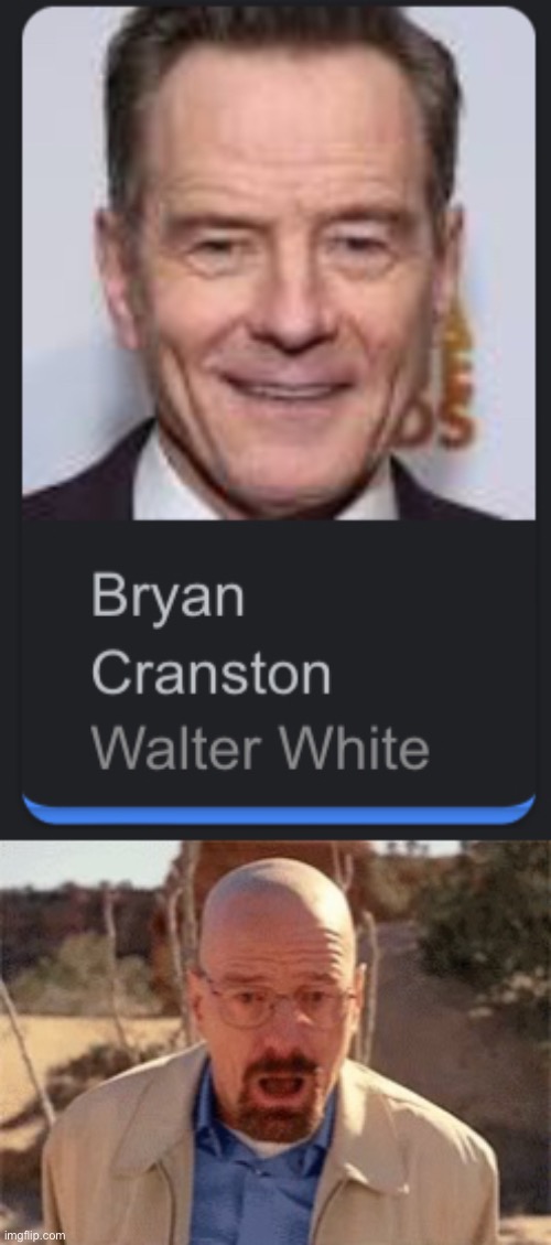 They look nothing alike what | image tagged in walter white | made w/ Imgflip meme maker