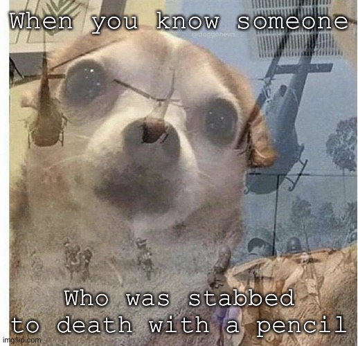 PTSD Chihuahua | When you know someone; Who was stabbed to death with a pencil | image tagged in ptsd chihuahua | made w/ Imgflip meme maker