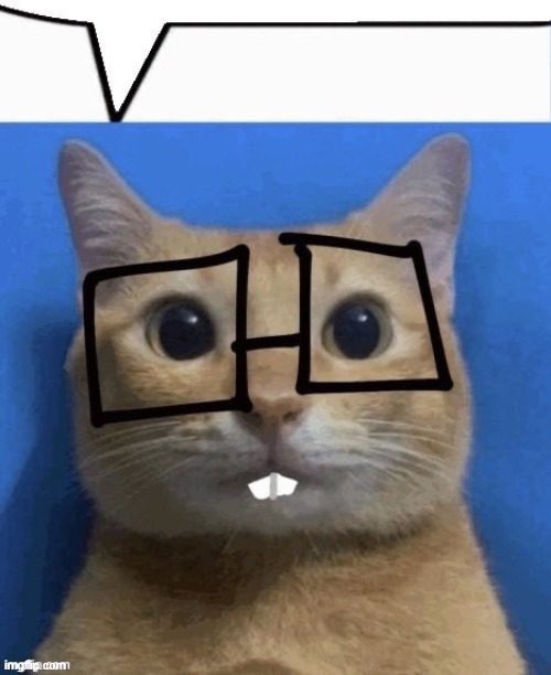 nerd cat | image tagged in nerd cat | made w/ Imgflip meme maker