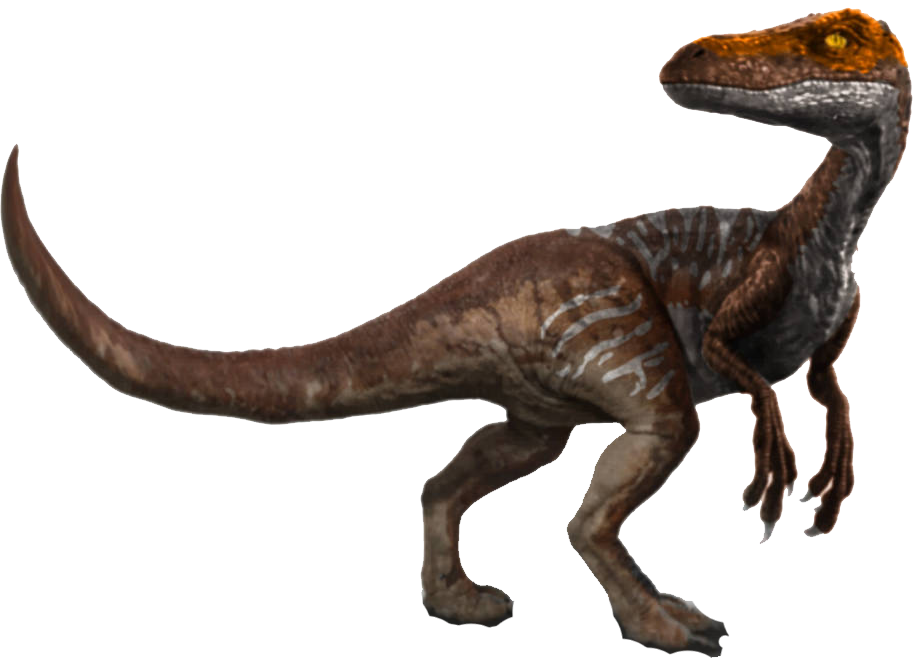 Ornitholestes (Mattel Design) Blank Meme Template