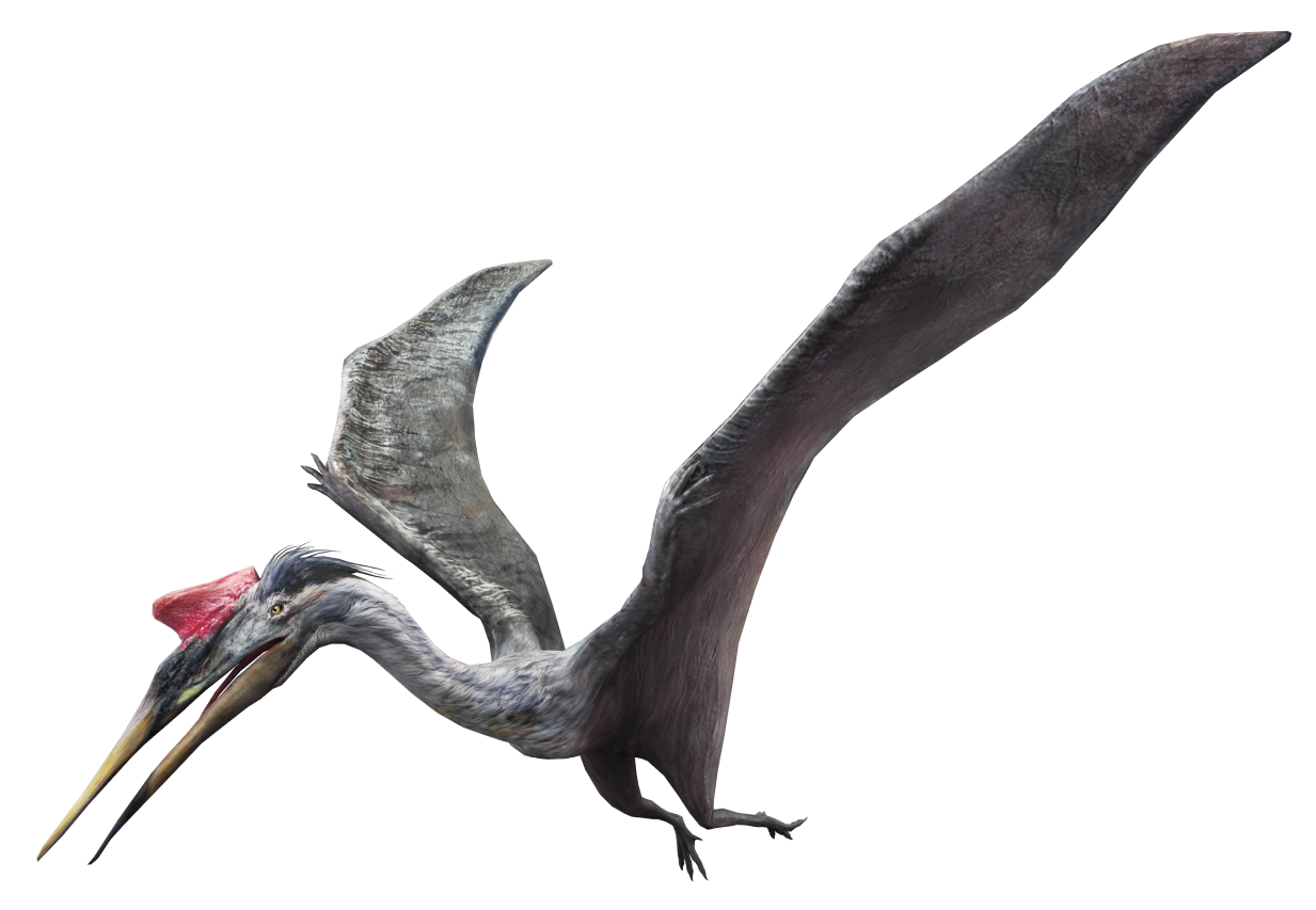 Quetzalcoatlus (JWA Design) Blank Meme Template