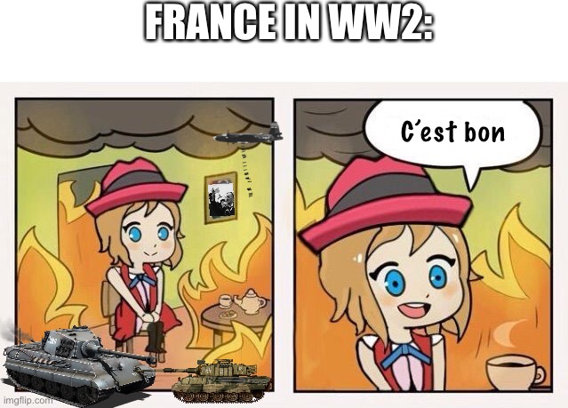 This is fine… | FRANCE IN WW2:; C’est bon | made w/ Imgflip meme maker