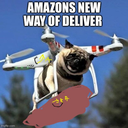 Flying Pug | AMAZONS NEW WAY OF DELIVER | image tagged in flying pug | made w/ Imgflip meme maker