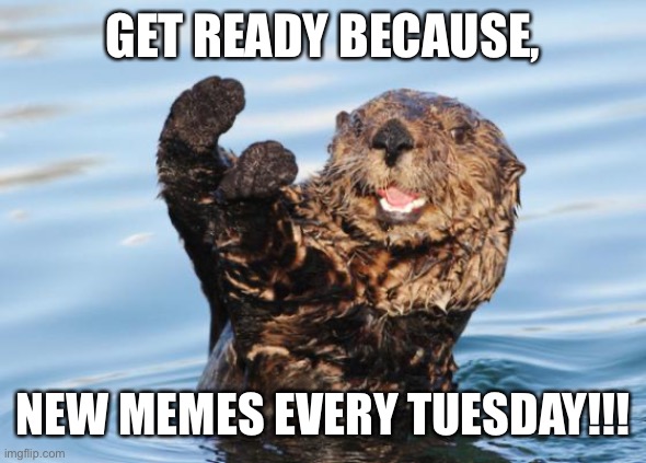 Yay | GET READY BECAUSE, NEW MEMES EVERY TUESDAY!!! | image tagged in otter celebration | made w/ Imgflip meme maker