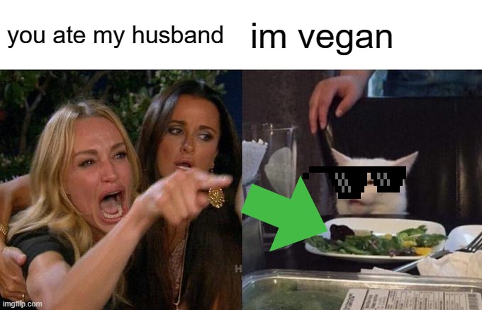 Woman Yelling At Cat Meme | you ate my husband; im vegan | image tagged in memes,woman yelling at cat | made w/ Imgflip meme maker