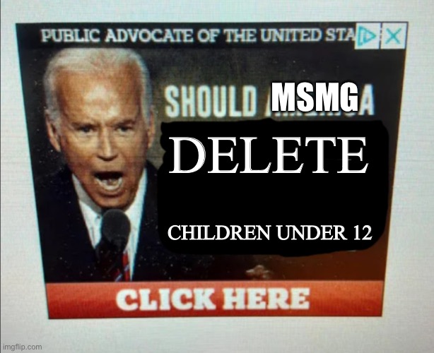 Should America… | MSMG; DELETE; CHILDREN UNDER 12 | image tagged in should america | made w/ Imgflip meme maker