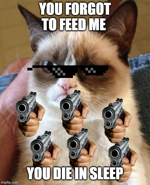 Grumpy Cat Meme | YOU FORGOT TO FEED ME; YOU DIE IN SLEEP | image tagged in memes,grumpy cat | made w/ Imgflip meme maker