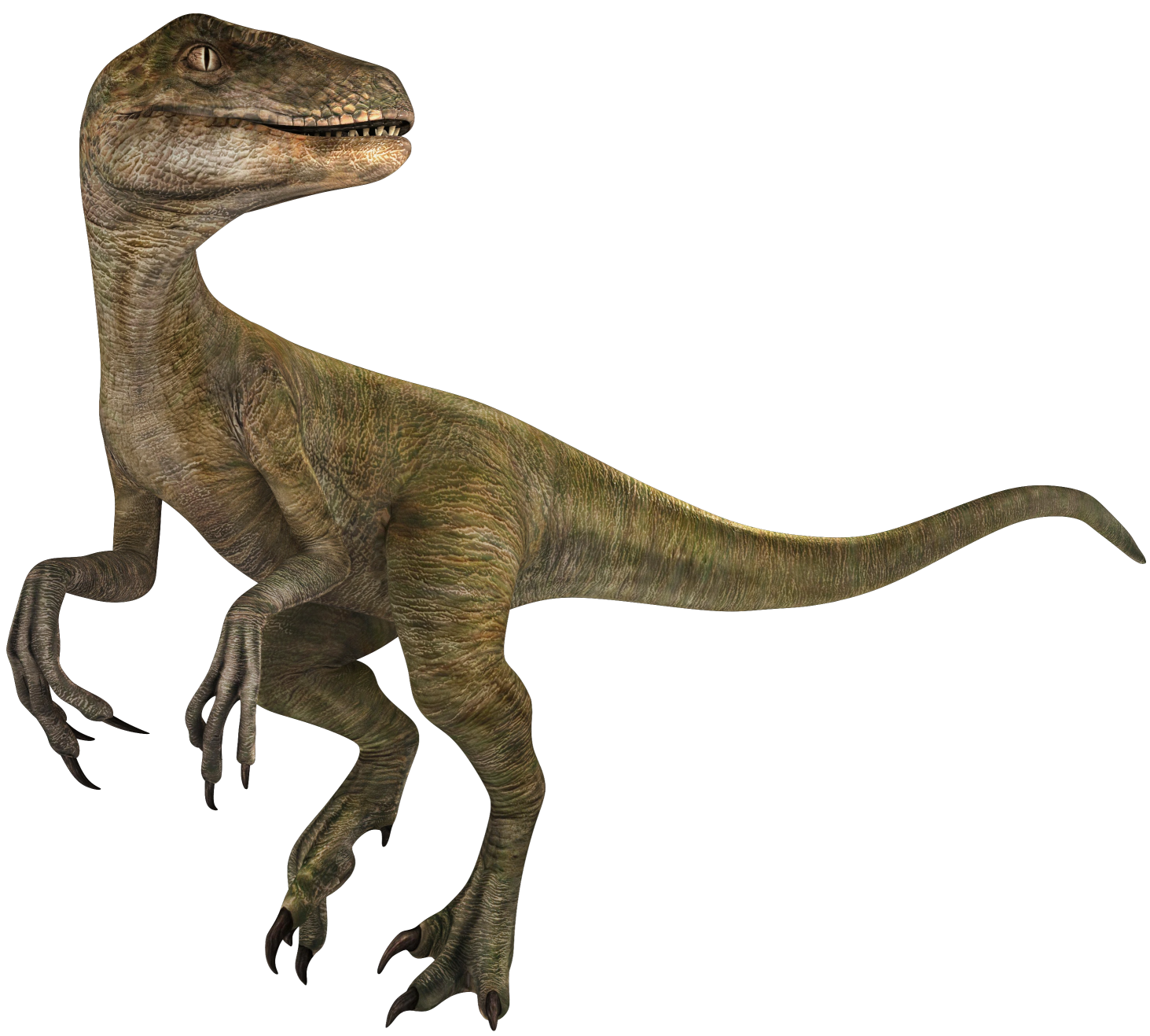 Velociraptor 3 Blank Meme Template