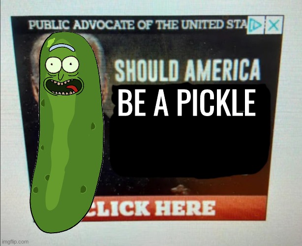 Should America… | BE A PICKLE | image tagged in should america,pickle rick | made w/ Imgflip meme maker