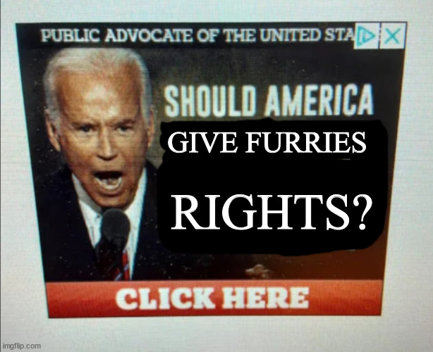 *also clicks it infinity times* | GIVE FURRIES; RIGHTS? | image tagged in should america | made w/ Imgflip meme maker