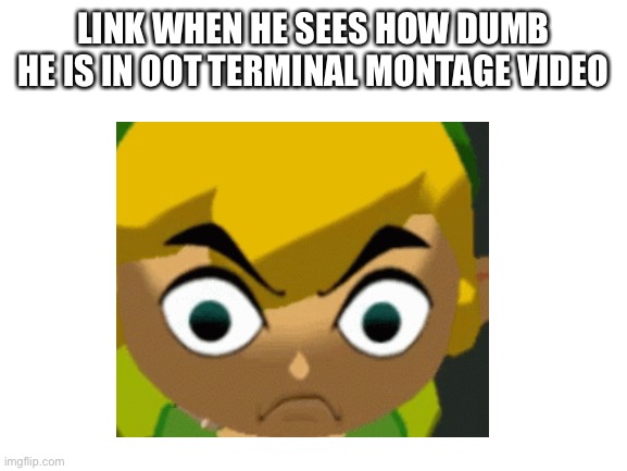 LINK WHEN HE SEES HOW DUMB HE IS IN OOT TERMINAL MONTAGE VIDEO | made w/ Imgflip meme maker