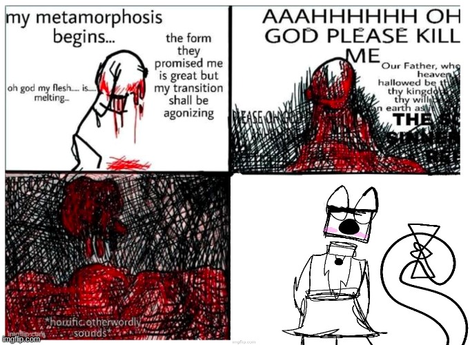 the metamorphosis | image tagged in the metamorphosis | made w/ Imgflip meme maker