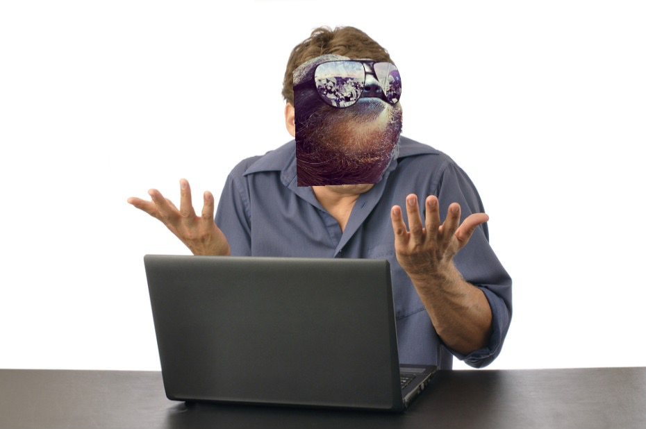 Sloth shrug at computer Blank Meme Template