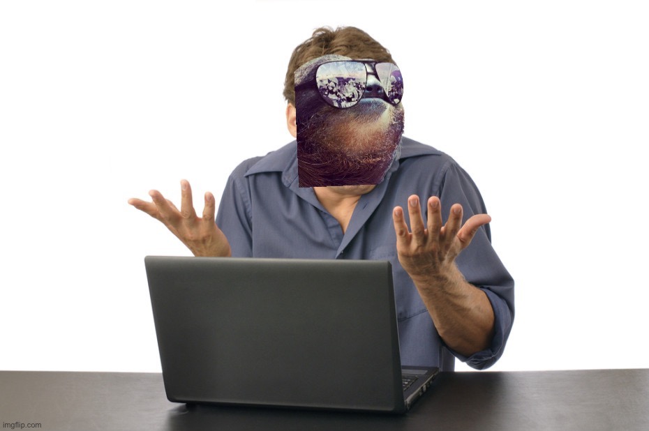 Sloth shrug at computer | image tagged in sloth shrug at computer | made w/ Imgflip meme maker