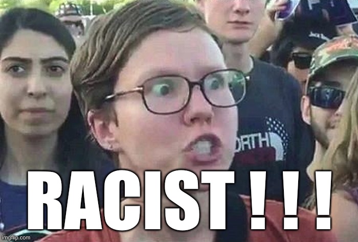 Triggered Liberal | RACIST ! ! ! | image tagged in triggered liberal | made w/ Imgflip meme maker