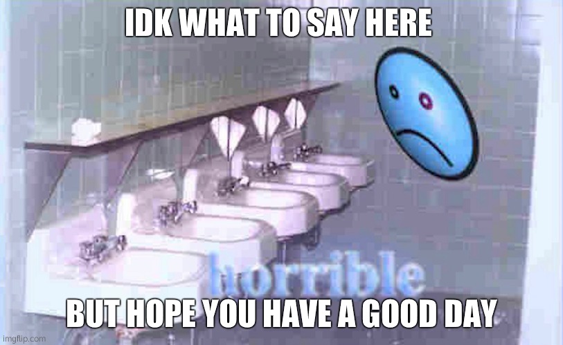 sorry | IDK WHAT TO SAY HERE; BUT HOPE YOU HAVE A GOOD DAY | image tagged in horrible | made w/ Imgflip meme maker