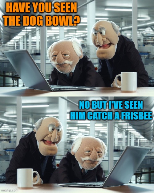 HAVE YOU SEEN THE DOG BOWL? NO BUT I'VE SEEN HIM CATCH A FRISBEE | image tagged in muppets | made w/ Imgflip meme maker