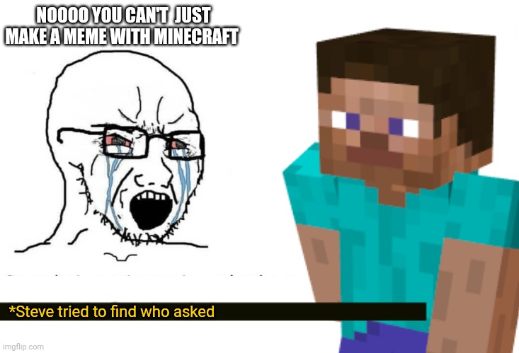 NOOOO YOU CAN'T  JUST MAKE A MEME WITH MINECRAFT *Steve tried to find who asked | made w/ Imgflip meme maker