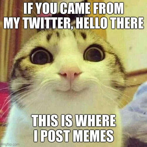 if yall came from my twitter, hi! | IF YOU CAME FROM MY TWITTER, HELLO THERE; THIS IS WHERE I POST MEMES | image tagged in well hello there | made w/ Imgflip meme maker