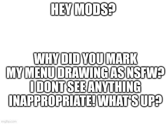 What's up? | HEY MODS? WHY DID YOU MARK MY MENU DRAWING AS NSFW? I DONT SEE ANYTHING INAPPROPRIATE! WHAT'S UP? | image tagged in blank white template | made w/ Imgflip meme maker