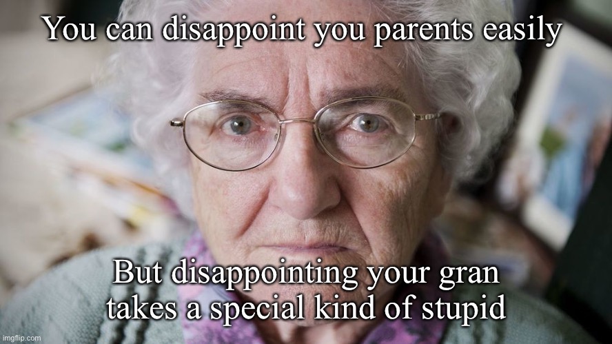 Disappointed Granny | You can disappoint you parents easily; But disappointing your gran takes a special kind of stupid | image tagged in disappointed granny | made w/ Imgflip meme maker