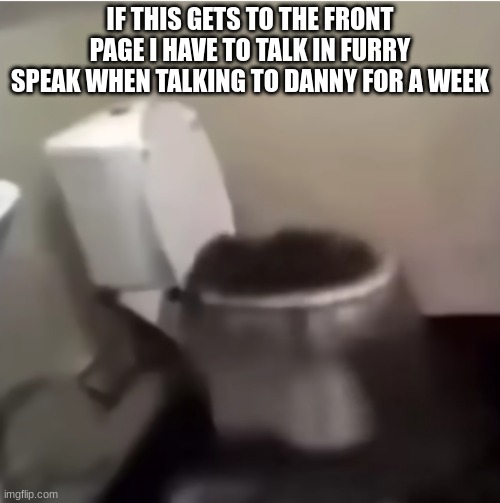 le idiot being summoned (static) | IF THIS GETS TO THE FRONT PAGE I HAVE TO TALK IN FURRY SPEAK WHEN TALKING TO DANNY FOR A WEEK | image tagged in le idiot being summoned static | made w/ Imgflip meme maker