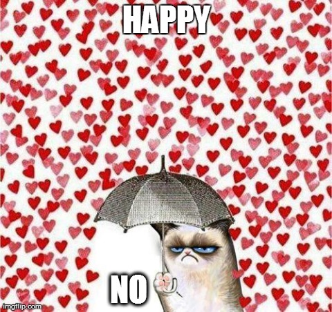 HAPPY NO | image tagged in funny,grumpy cat,memes,valentines | made w/ Imgflip meme maker