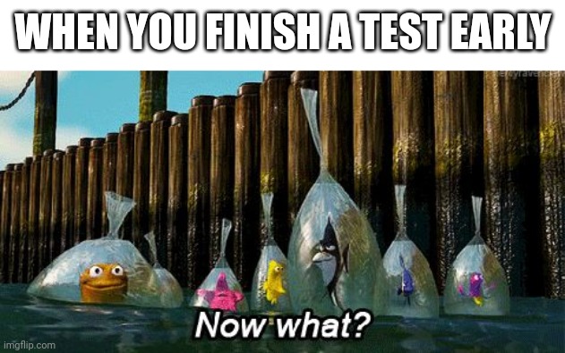 Still 1 hour left |  WHEN YOU FINISH A TEST EARLY | image tagged in now what,fish,test,school | made w/ Imgflip meme maker