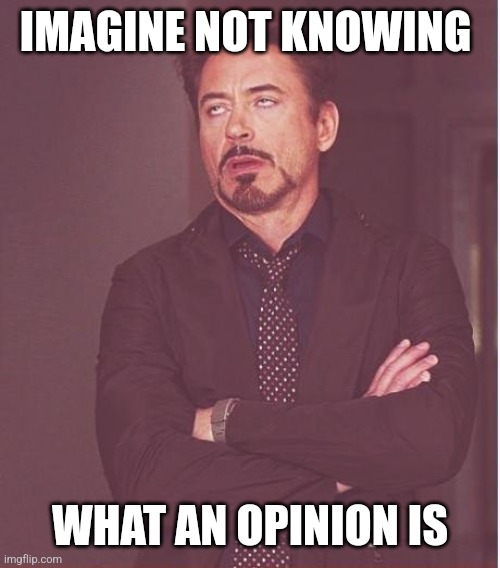 Face You Make Robert Downey Jr Meme | IMAGINE NOT KNOWING WHAT AN OPINION IS | image tagged in memes,face you make robert downey jr | made w/ Imgflip meme maker