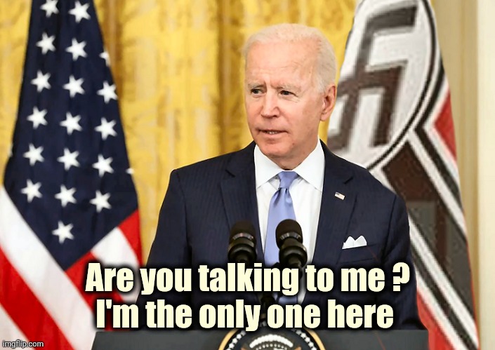Joe Biden with US and Nazi German Flag | Are you talking to me ?
I'm the only one here | image tagged in joe biden with us and nazi german flag | made w/ Imgflip meme maker