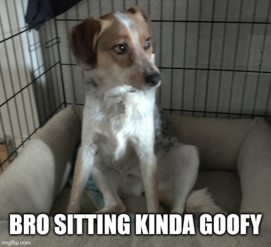 BRO SITTING KINDA GOOFY | made w/ Imgflip meme maker
