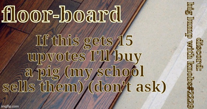 Pig | If this gets 15 upvotes I'll buy a pig (my school sells them) (don't ask) | image tagged in honestly floorboards | made w/ Imgflip meme maker